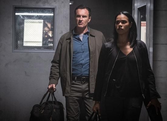 Most Wanted Criminals : Photo Roxy Sternberg, Julian McMahon