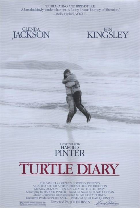 Turtle Diary : Affiche