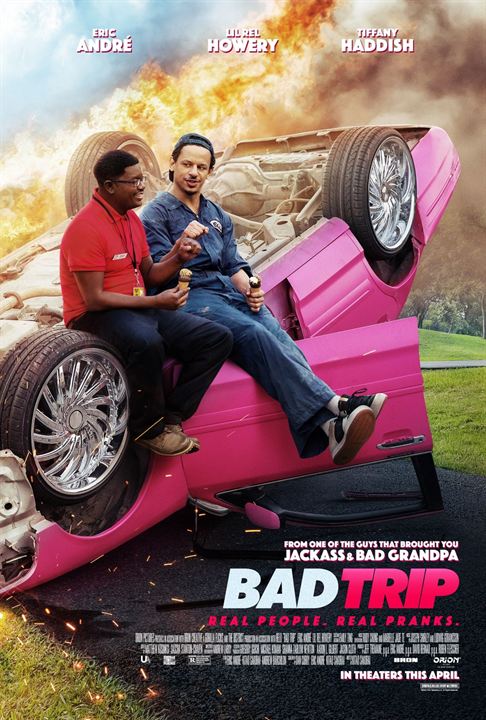 Bad Trip : Affiche