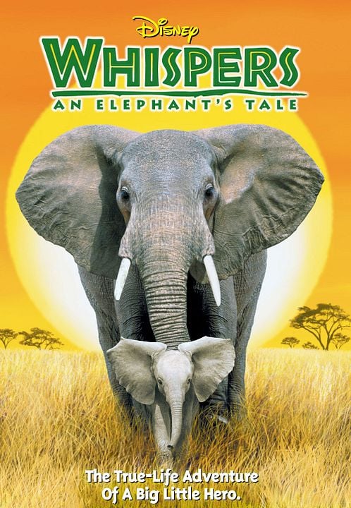 Whispers : An Elephant's Tale : Affiche