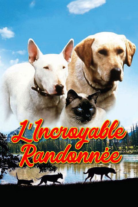 L'incroyable randonnée : Affiche