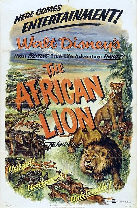 Lions d'Afrique : Affiche