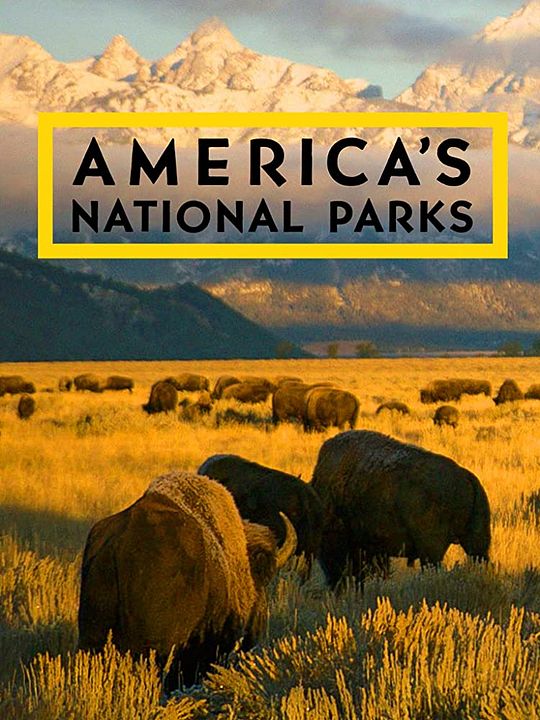 America's National Parks : Affiche