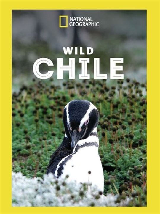 Destination Wild : Chili : Affiche