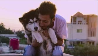 Nos amis les chiens : Affiche