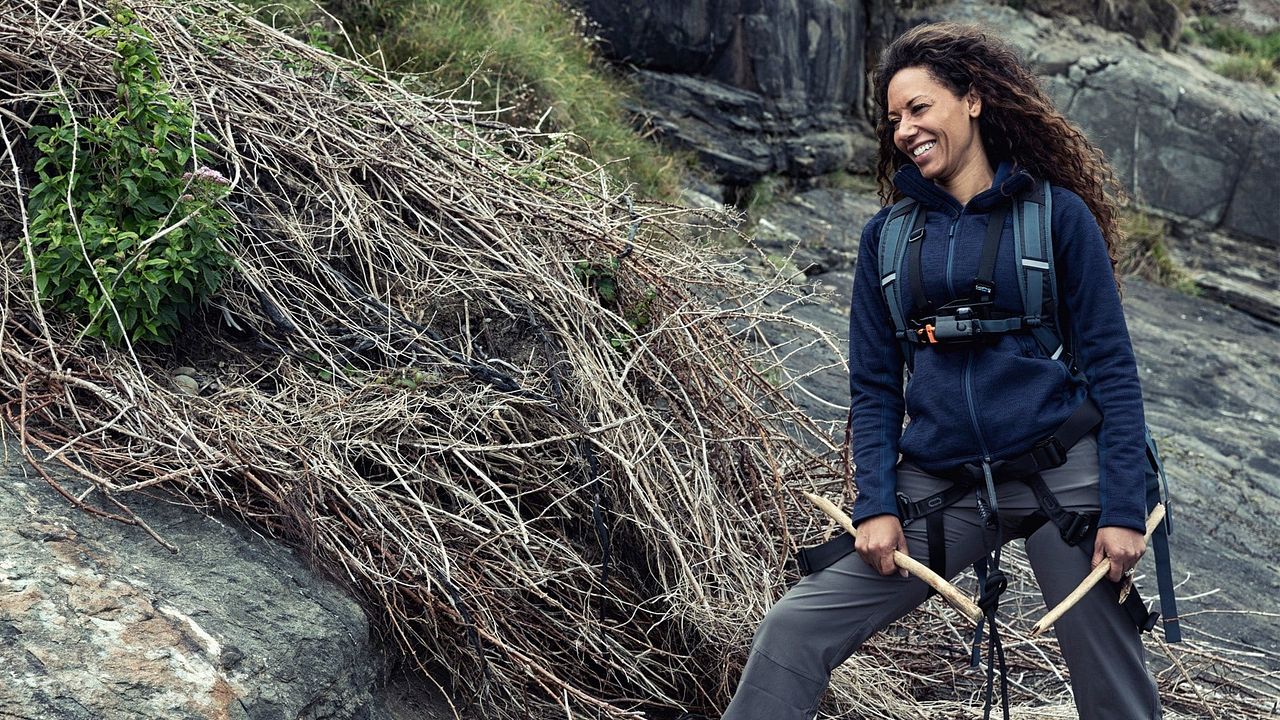 En pleine nature avec Bear Grylls : Affiche