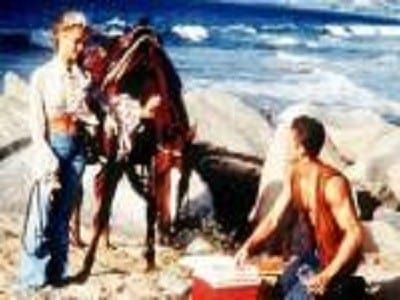 Alerte à Malibu : Affiche