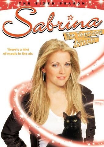 Sabrina, l'apprentie sorcière : Affiche