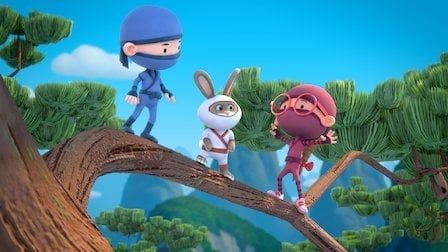 Salut Ninja : Affiche