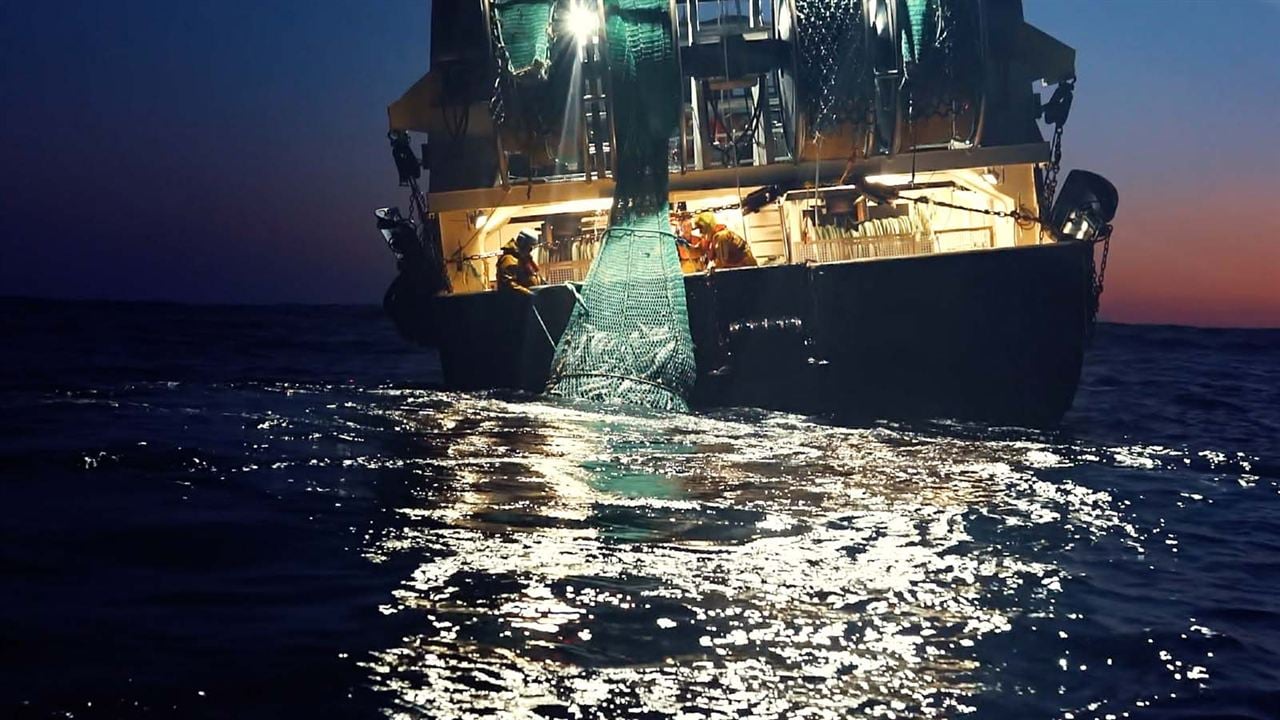 Seaspiracy : La Pêche en Question : Photo