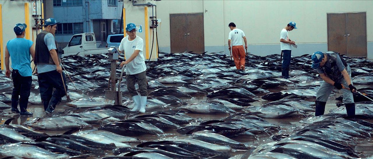 Seaspiracy : La Pêche en Question : Photo