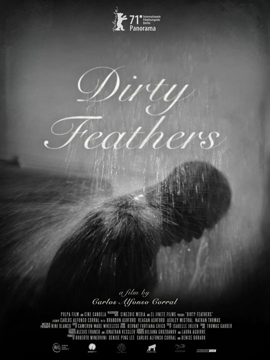 Dirty Feathers : Affiche