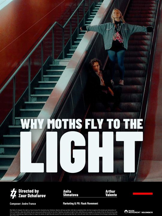 Why Moths Fly to the Light? : Affiche