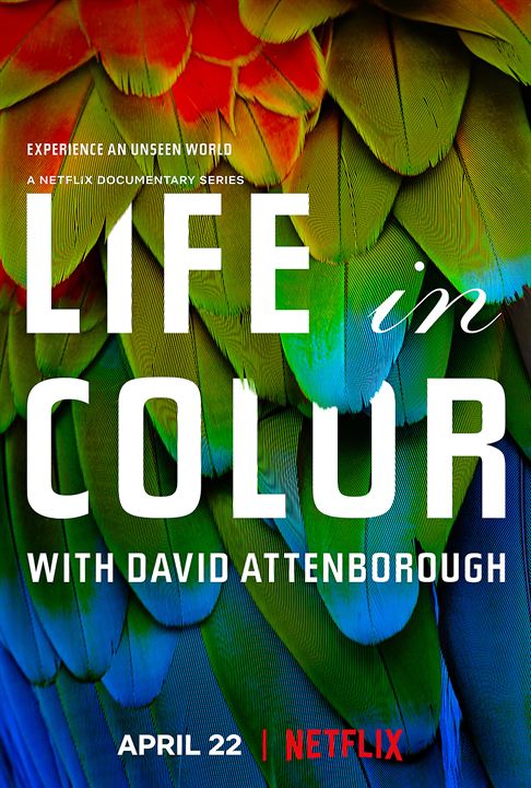 La Vie en couleurs avec David Attenborough : Affiche