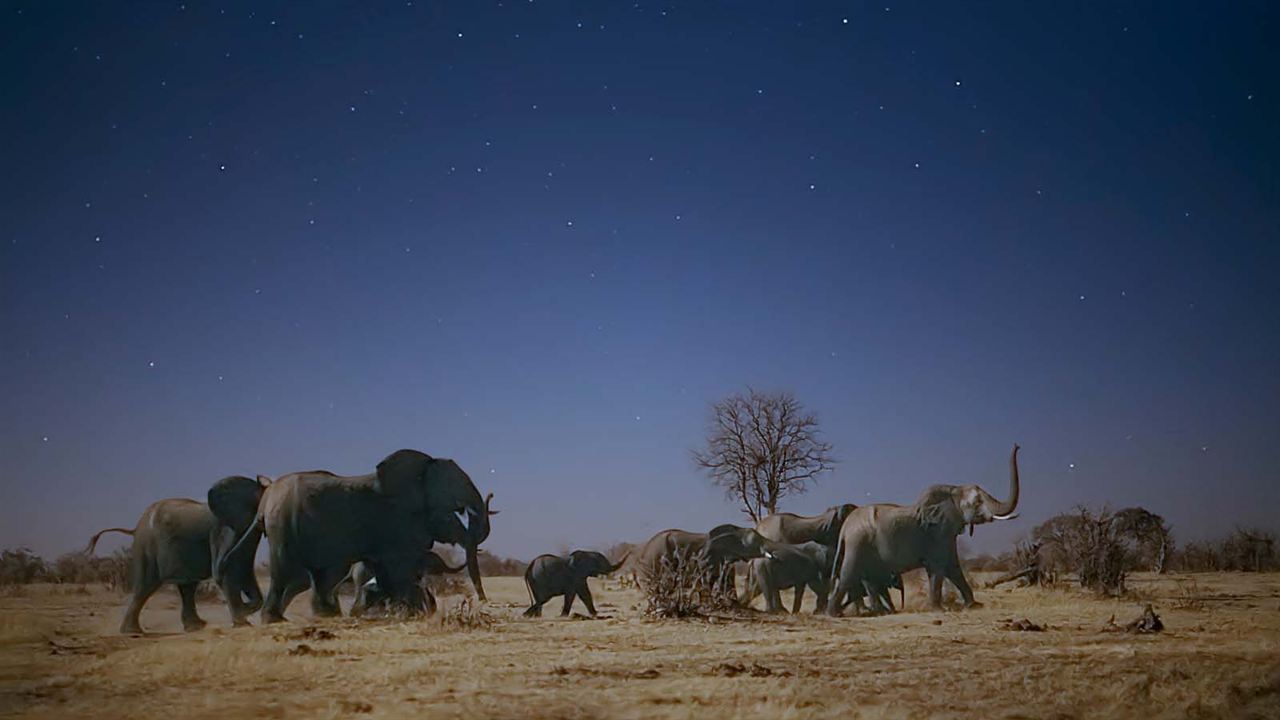 Terre : les couleurs nocturnes : Photo