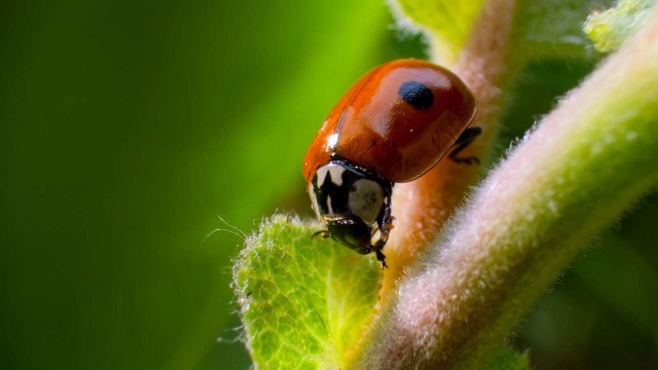 Tiny World : Photo