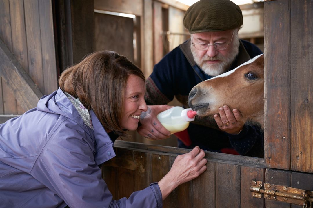 Dream Horse : Photo Toni Collette, Owen Teale