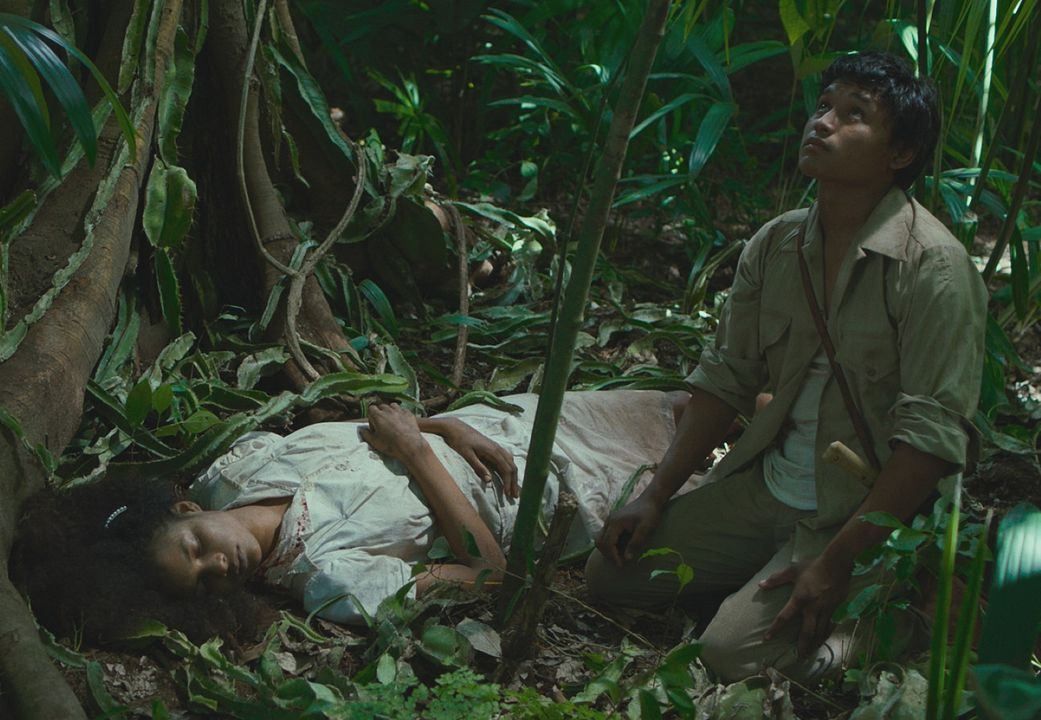 Tragic Jungle : Photo