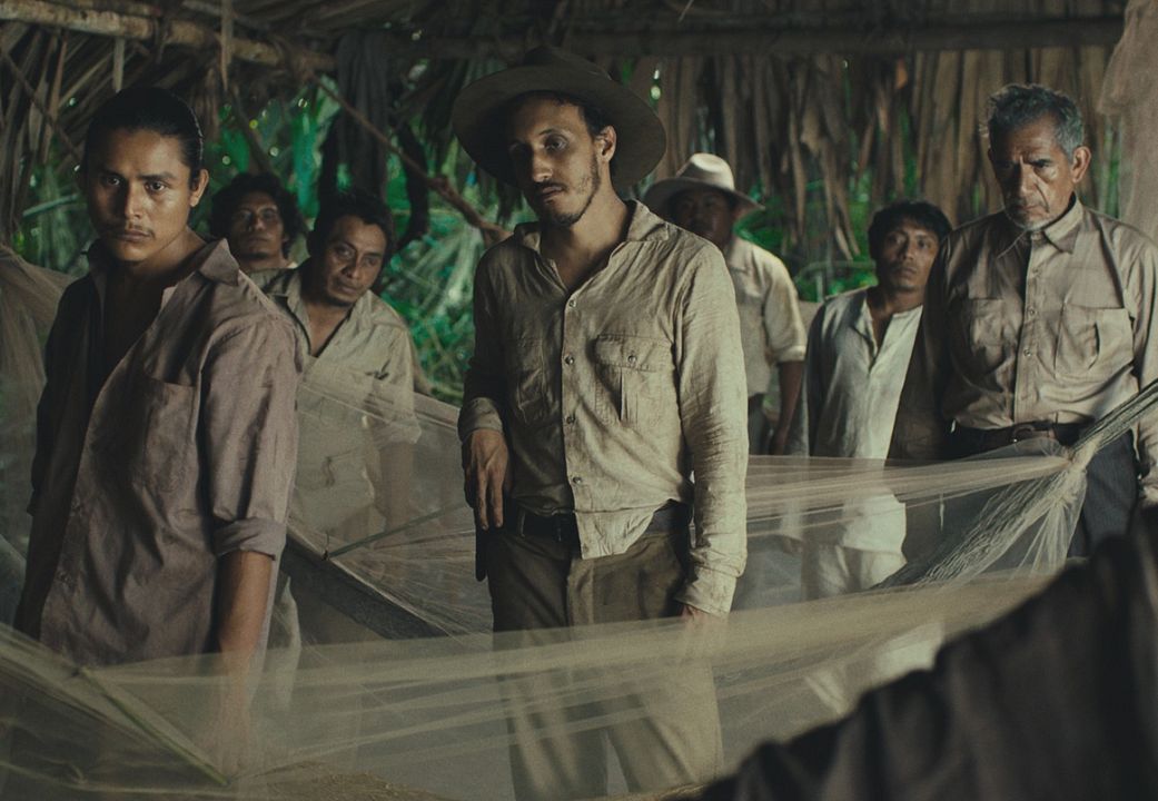 Tragic Jungle : Photo