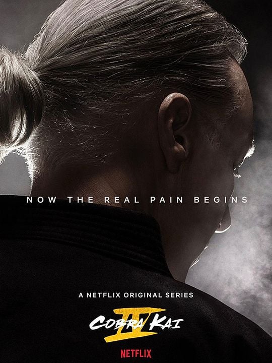 Cobra Kai : Affiche