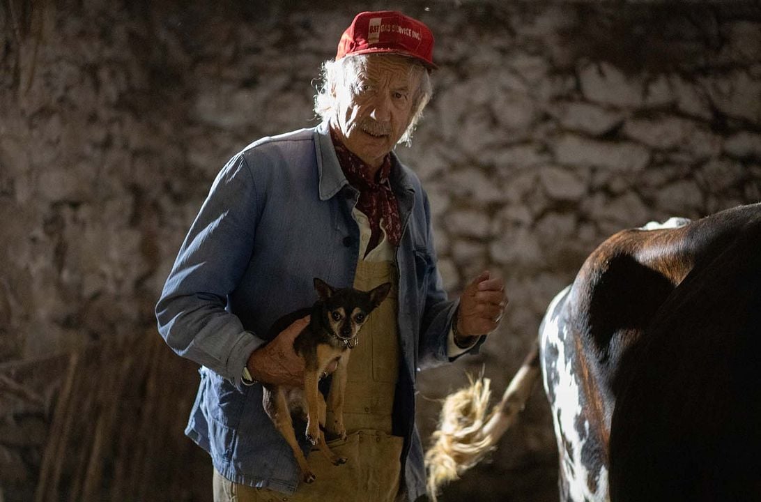 C'est quoi ce papy ?! : Photo Patrick Chesnais