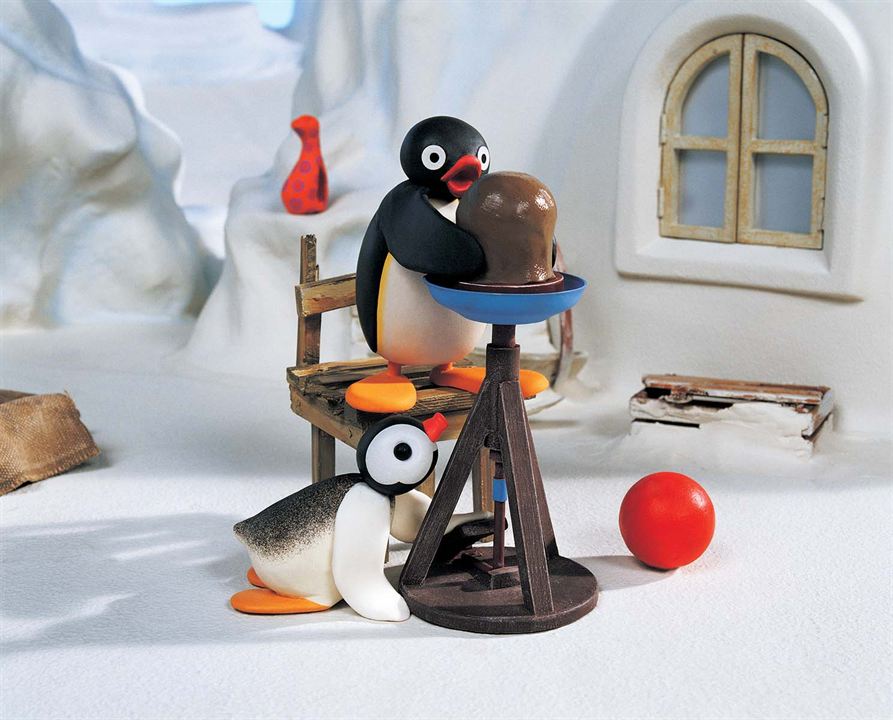 Pingu : Photo