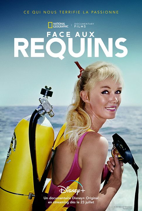 Face aux requins : Affiche