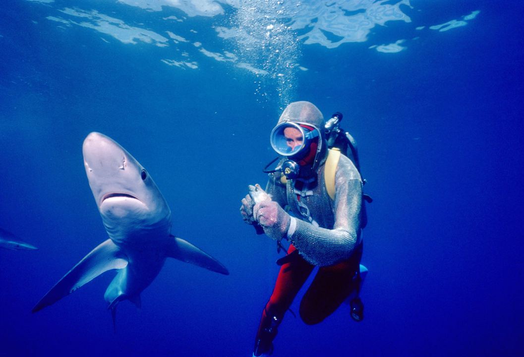 Face aux requins : Photo Valerie Taylor