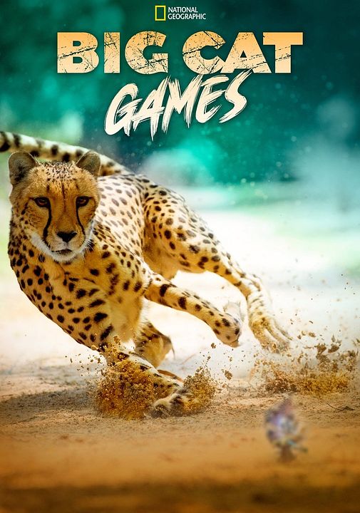 Jeux des gros chats : Affiche