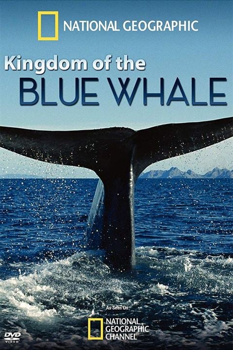 Le Royaume de la baleine bleue : Affiche