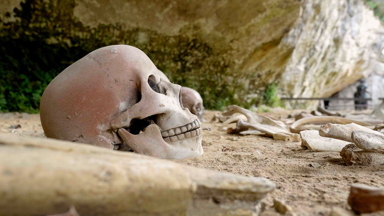 Sur les sentiers de l'histoire : Photo