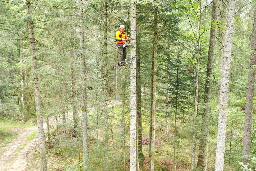 La Puissance de l’arbre avec Ernst Zürcher : Photo