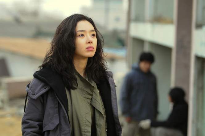 Paju : Photo