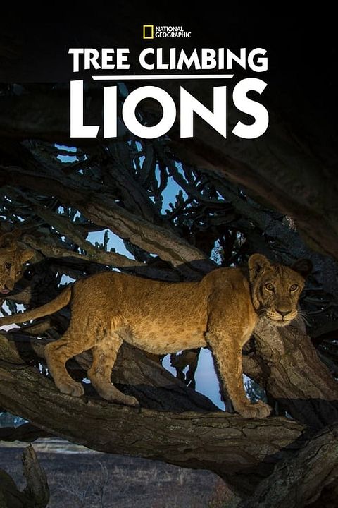 Les Lions des arbres : Affiche