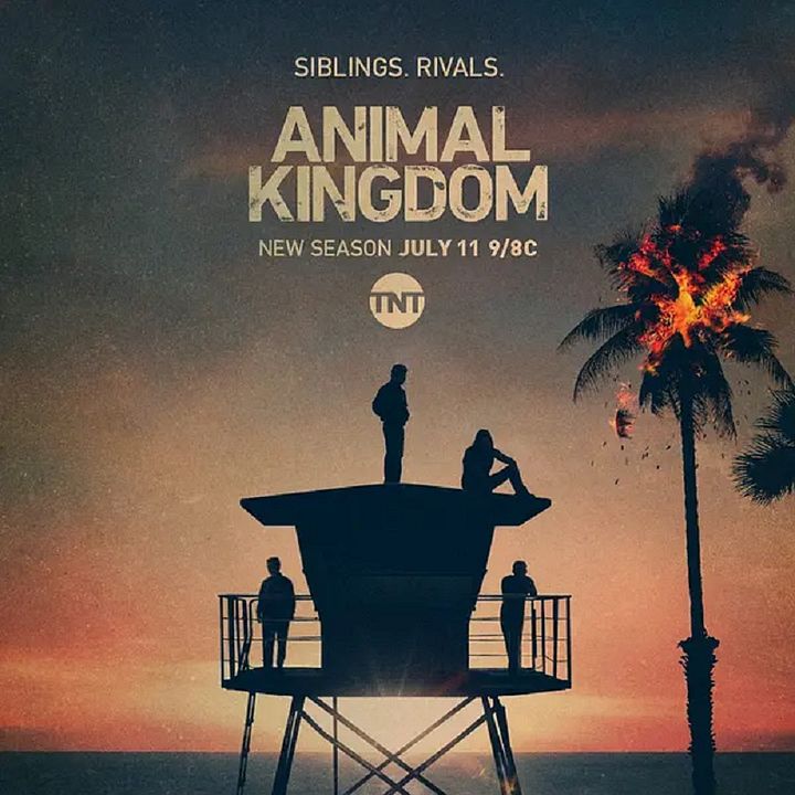 Animal Kingdom : Affiche