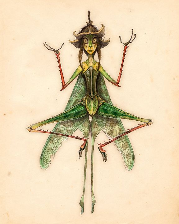 Les Chroniques de Spiderwick : Photo