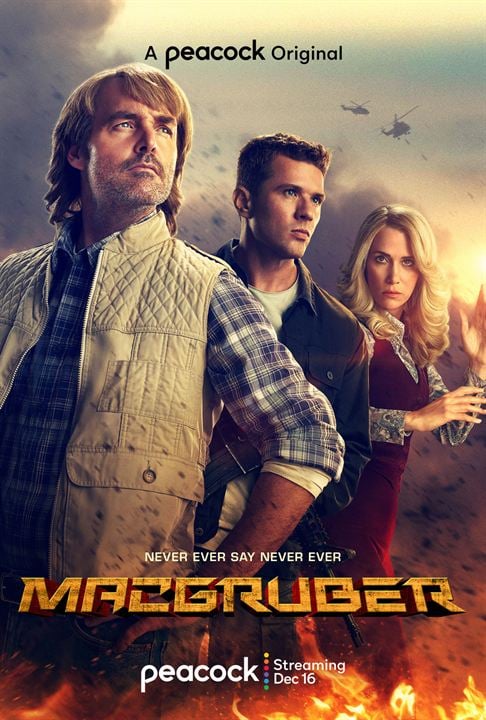 MacGruber : Affiche