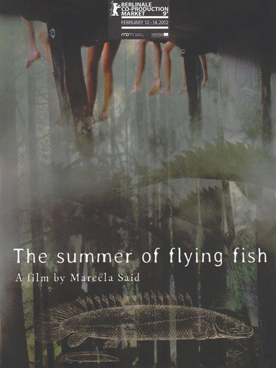 L'Eté des poissons volants : Affiche