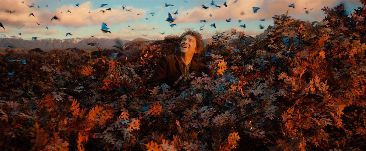 Le Hobbit : la Désolation de Smaug : Photo Martin Freeman