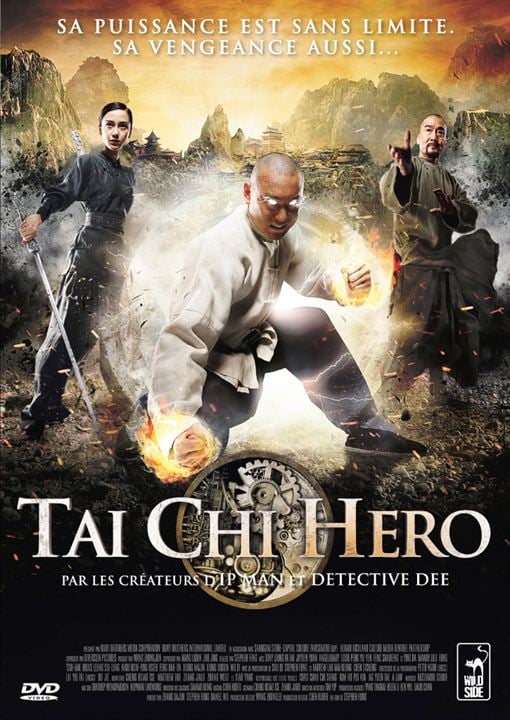 Tai Chi Hero : Affiche