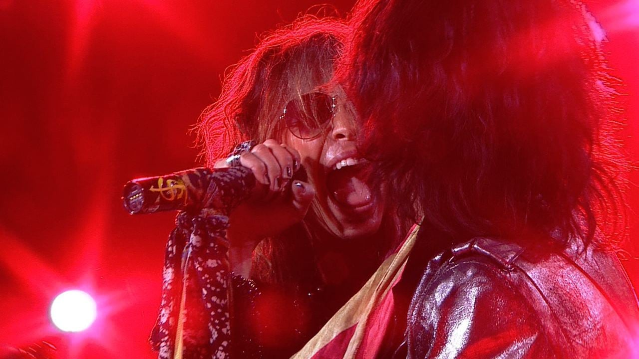 Concert Aerosmith : Rock for the Rising Sun : Photo