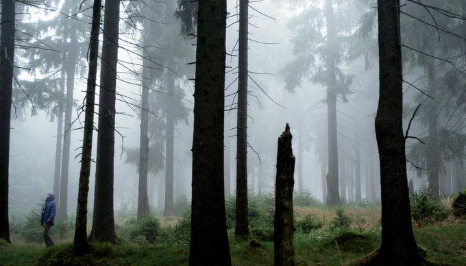 Une minute d’obscurité : Photo