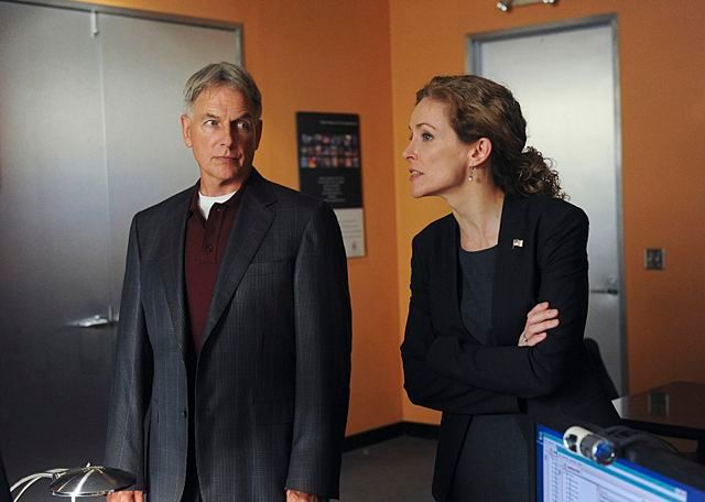 NCIS : Enquêtes spéciales : Photo Mark Harmon