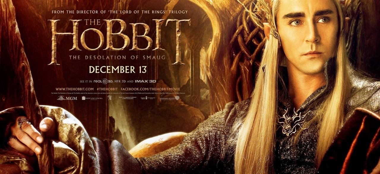 Le Hobbit : la Désolation de Smaug : Affiche