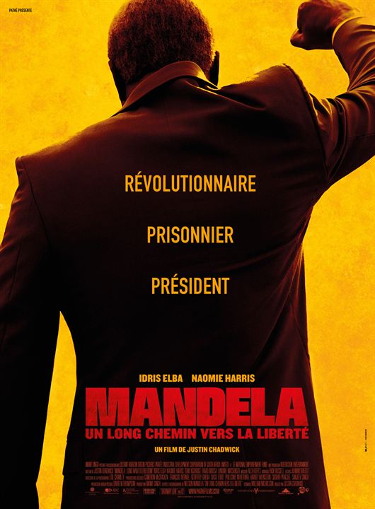 Mandela : Un long chemin vers la liberté : Affiche