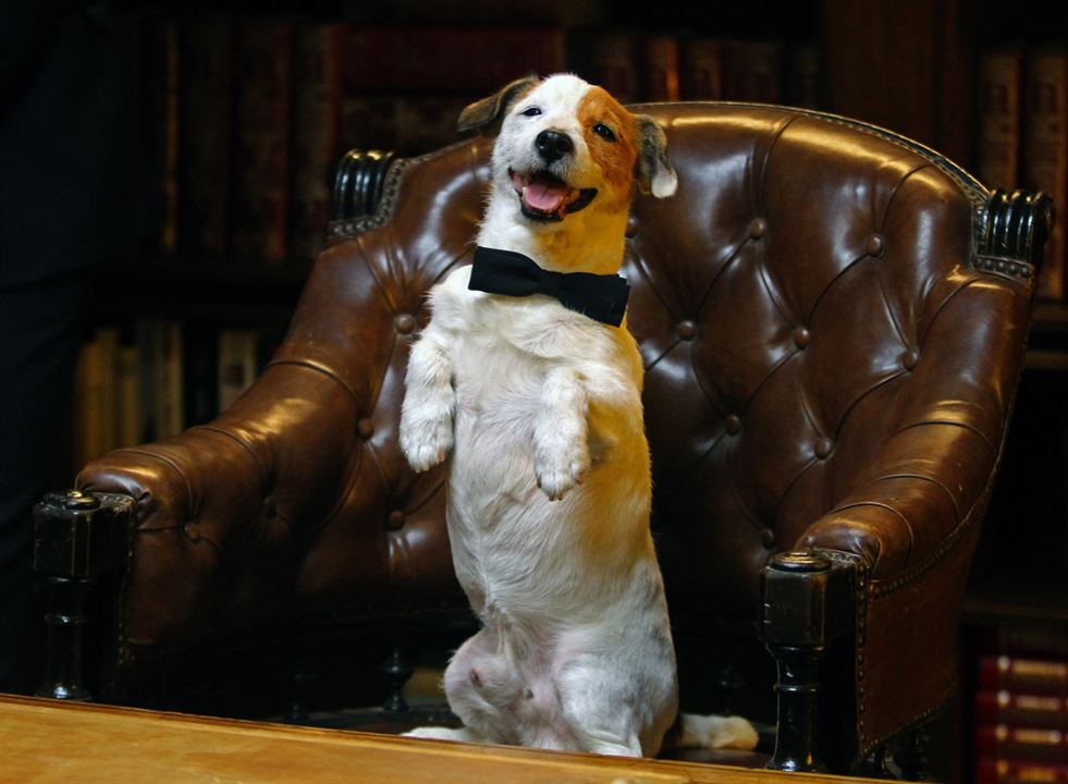 Pancho, le chien millionnaire : Photo