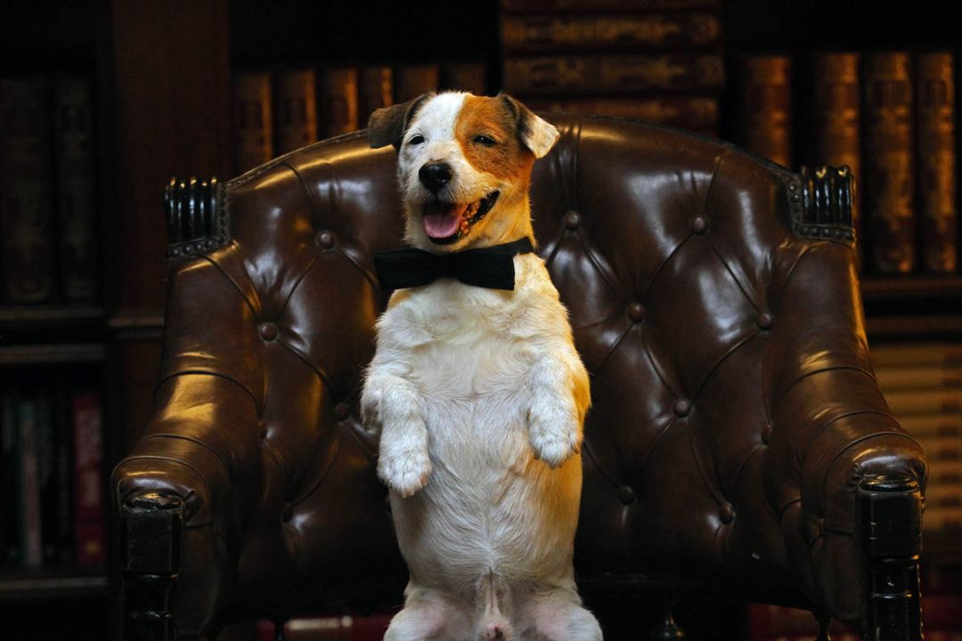 Pancho, le chien millionnaire : Photo