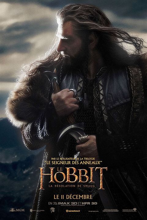 Le Hobbit : la Désolation de Smaug : Affiche