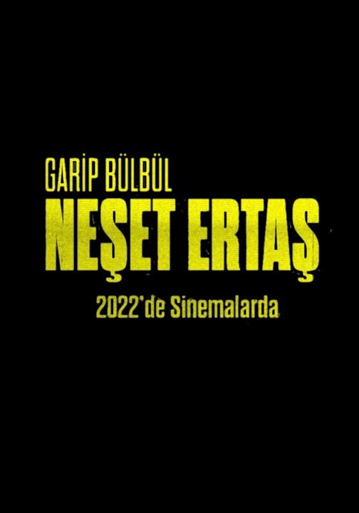 Garip Bülbül Neşet Ertaş : Affiche