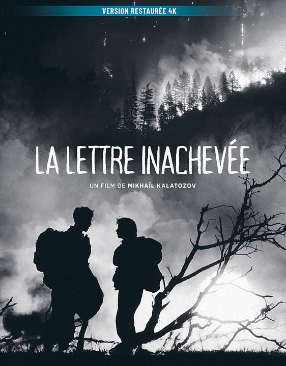 La Lettre inachevée : Affiche